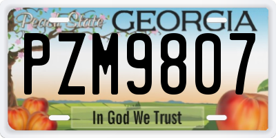 GA license plate PZM9807