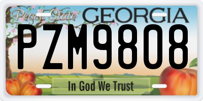 GA license plate PZM9808
