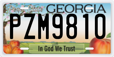GA license plate PZM9810