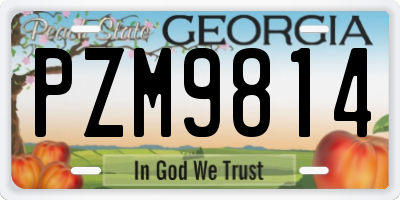 GA license plate PZM9814