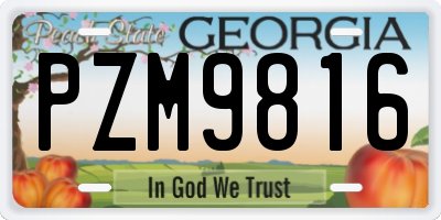 GA license plate PZM9816