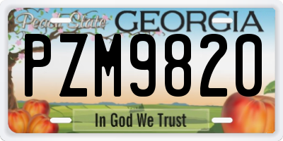 GA license plate PZM9820