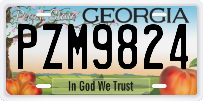GA license plate PZM9824