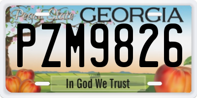 GA license plate PZM9826