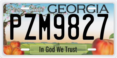 GA license plate PZM9827