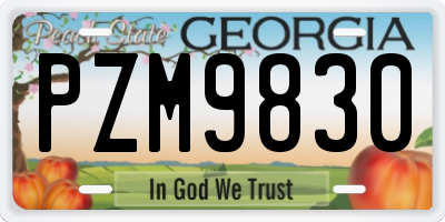 GA license plate PZM9830