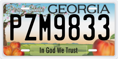 GA license plate PZM9833