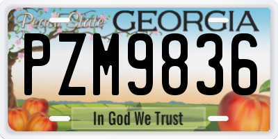 GA license plate PZM9836
