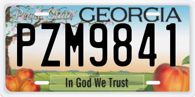 GA license plate PZM9841