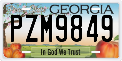 GA license plate PZM9849