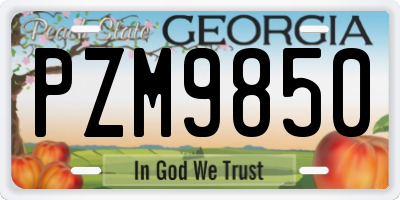 GA license plate PZM9850