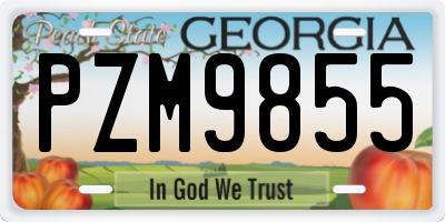 GA license plate PZM9855