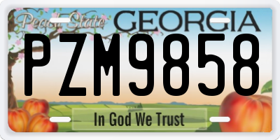 GA license plate PZM9858