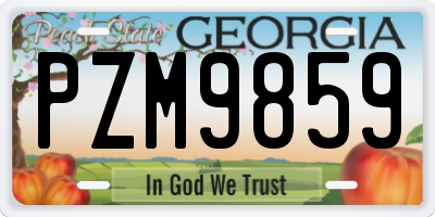 GA license plate PZM9859