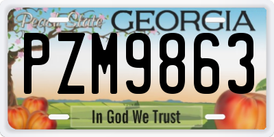 GA license plate PZM9863
