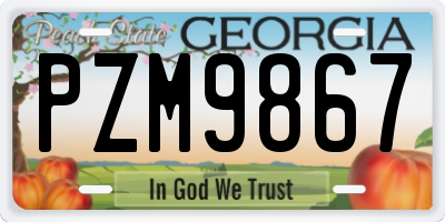 GA license plate PZM9867