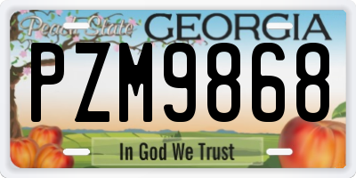 GA license plate PZM9868