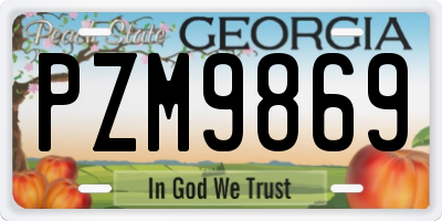 GA license plate PZM9869