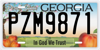 GA license plate PZM9871