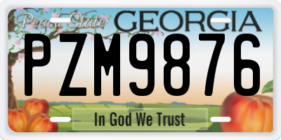 GA license plate PZM9876