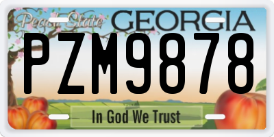 GA license plate PZM9878