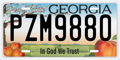 GA license plate PZM9880