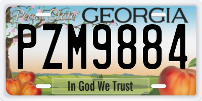 GA license plate PZM9884