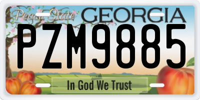 GA license plate PZM9885