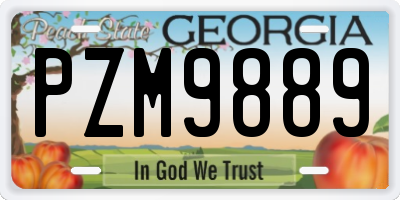 GA license plate PZM9889