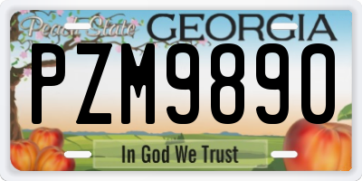 GA license plate PZM9890