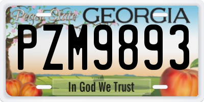 GA license plate PZM9893