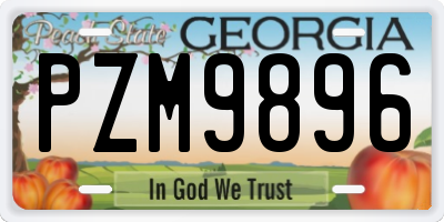 GA license plate PZM9896