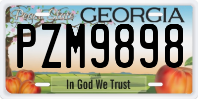 GA license plate PZM9898