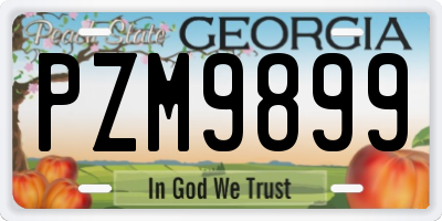 GA license plate PZM9899