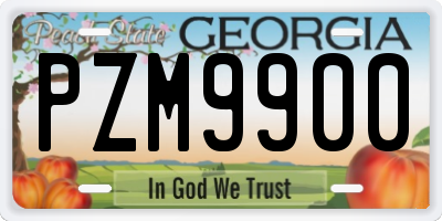 GA license plate PZM9900