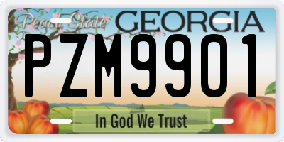 GA license plate PZM9901