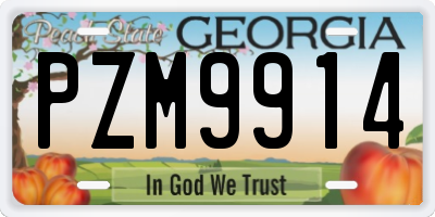 GA license plate PZM9914