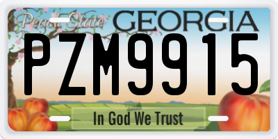 GA license plate PZM9915