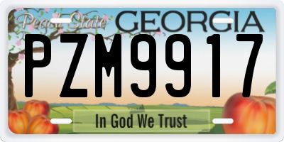 GA license plate PZM9917