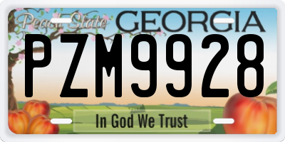GA license plate PZM9928
