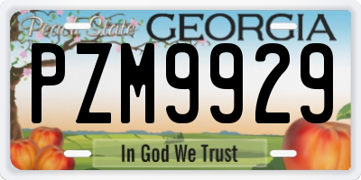 GA license plate PZM9929
