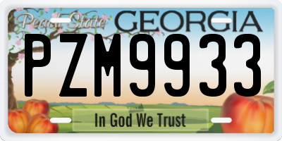 GA license plate PZM9933