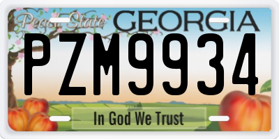 GA license plate PZM9934
