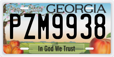 GA license plate PZM9938
