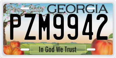 GA license plate PZM9942
