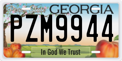 GA license plate PZM9944