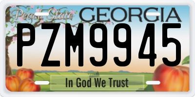 GA license plate PZM9945