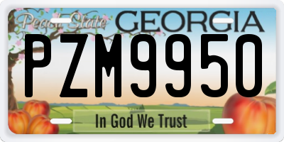 GA license plate PZM9950