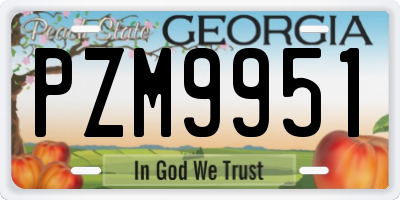 GA license plate PZM9951