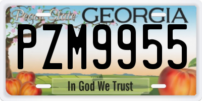 GA license plate PZM9955